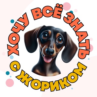 Telegram profile photo for ХОЧУ ВСЁ ЗНАТЬ🐣