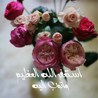 Telegram profile photo for آيات قرآنية