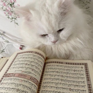 Telegram profile photo for الآ بذكر الله تطمئن القلوب🤍.