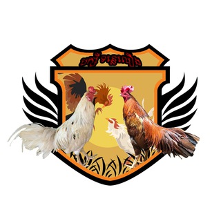 Telegram profile photo for បក្សី ទន្លេលឿង Admin(Ly rorth)