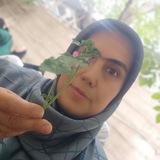 Telegram profile photo for طرح و خیال