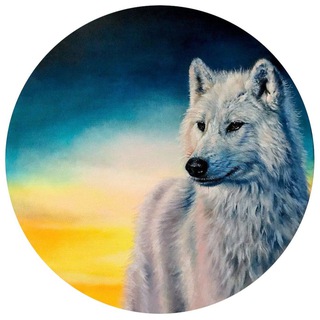 Telegram profile photo for Kotiinpaluuheimo
