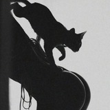 Telegram profile photo for still able to think