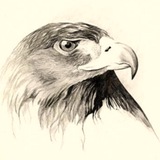 Telegram profile photo for Intelligencia