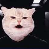Telegram profile photo for Commander Vrax