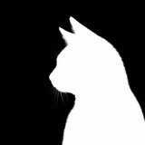 Telegram profile photo for хэлли переходник.