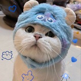 Telegram profile photo for KITTY CTO