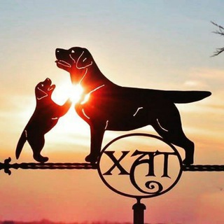 Telegram profile photo for Labrador & Golden Puppies | Estelauder & Rottwail Hat
