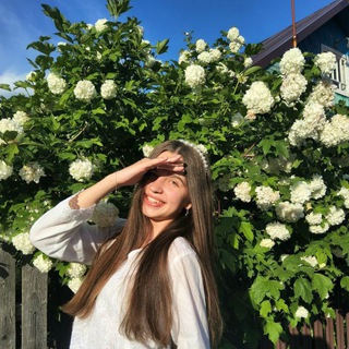 Telegram profile photo for Сонькины бредни