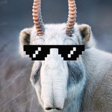 Telegram profile photo for Seléu | Селéу | selécted arts