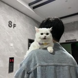 Telegram profile photo for 𝗡𝘂𝗿𝗲𝗸𝗲 𝓑𝓘𝓞 ):