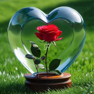 Telegram profile photo for هەستی دڵداران