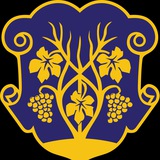 Telegram profile photo for Координаційний центр Ужгорода