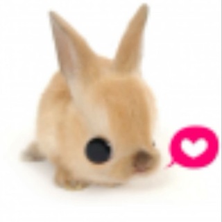 Telegram profile photo for 無人知曉的我