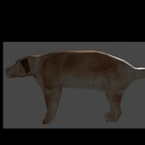 Telegram profile photo for 360° DuG