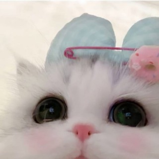 Telegram profile photo for 苏的日记