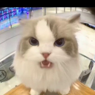Telegram profile photo for 收卡 一类二类都可以来 白条套现 租机套现 回收监管