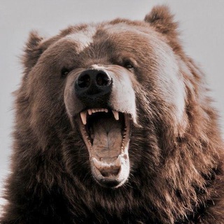 Telegram profile photo for Из Ярославля с любовью