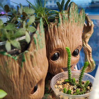 Telegram profile photo for Релакс с суккулентами🪷🌵