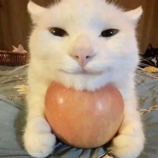 Telegram profile photo for Зачем в пещере лоси