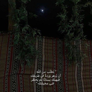 Telegram profile photo for ﴿لَّا يَضِلُّ رَبِّي وَلَا يَنسَى﴾.