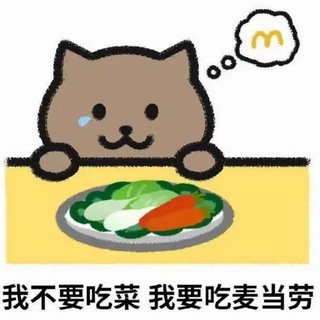 Telegram profile photo for 胖猫三角洲数据号【三角洲0.1数据号】