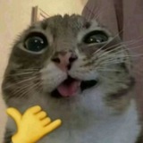 Telegram profile photo for Correspondence/Headcanons