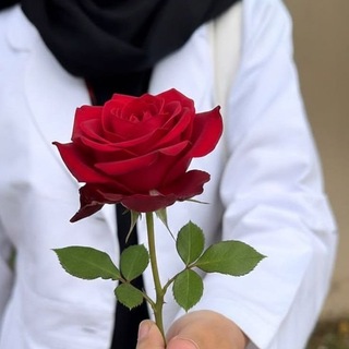 Telegram profile photo for ❀ اللُّغَةُ العَرَبِيَّةُ مَعَ سَلْمَى ❀.. ♡. Bac2027.♡