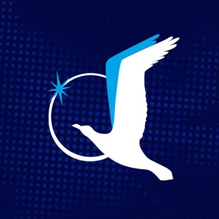 Telegram group profile photo for SMP Esports Chat