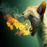 Telegram profile photo for WAKE UP Official Channel