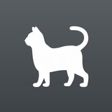 Telegram profile photo for инфо