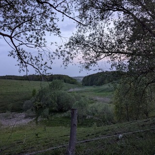 Telegram profile photo for ︎ Дантейка рисует иногда ︎