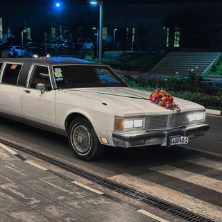 Telegram profile photo for Robi wedding cars rental