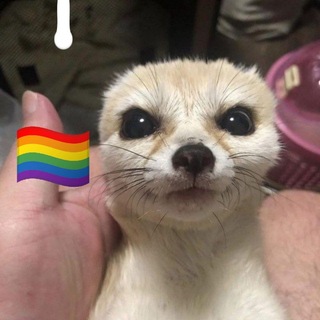 Telegram profile photo for Goobernia