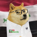 Telegram profile photo for IQNerd • آيكيو نيرد
