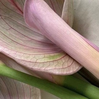 Telegram profile photo for Klюkoвkа ᵒʷᶰ ˢʰᶫᵗᶻ
