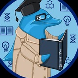 Telegram profile photo for Полезности от Фина и Практикума