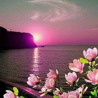 Telegram profile photo for Чудо-природа