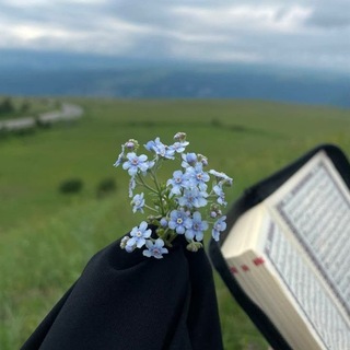 Telegram profile photo for مَـرفَـأُ القُـلـوبِ 🩵🫀