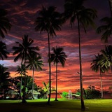 Telegram profile photo for Тайский движ 🌴🥥