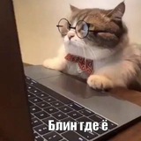 Telegram profile photo for Жизнь юного прогера
