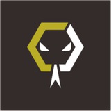 Telegram profile photo for Komodo