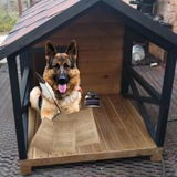 Telegram profile photo for Будка Бобика