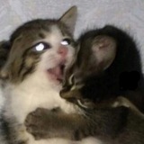 Telegram profile photo for Персонажи Монтировки