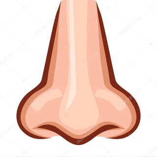 Telegram profile photo for понюхали !