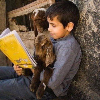 Telegram profile photo for Study smarter