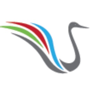 Telegram profile photo for MediaGrus projects live
