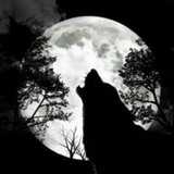Telegram profile photo for Инфо канал LW