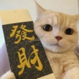 Telegram profile photo for 🐉的小穴
