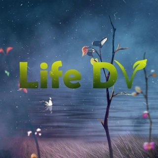 Telegram profile photo for ЛайфДВ ✊ LifeDV
